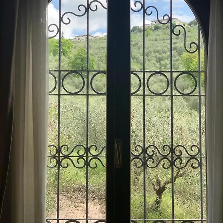 Couette-café Poggio Degli Olivi Monsummano Terme