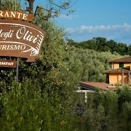 Bed and breakfast Poggio Degli Olivi 3*